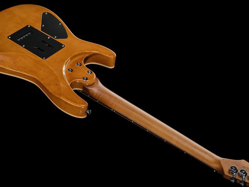 Harley Benton Fusion-IV HSS RW RM 618009 фото