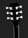 Harley Benton DC-200LH BK Student Series 362642 фото 7