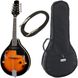 Harley Benton HBMA-50E Mandoline VS w/Bag 539038 фото 1