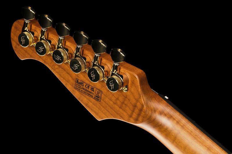Harley Benton Fusion-IV HSS RW SGD 618019 фото