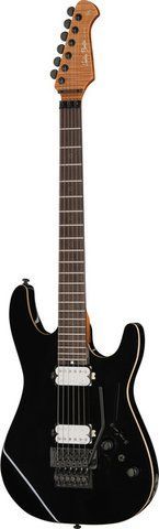 Harley Benton Fusion-IV HH RW FR BM 618124 фото