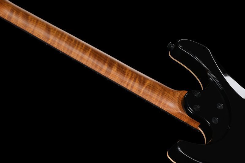Harley Benton Fusion-IV HH RW FR BM 618124 фото