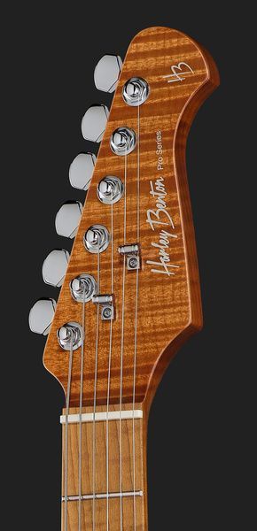 Harley Benton Fusion-IV HSS MN QRG 618004 фото