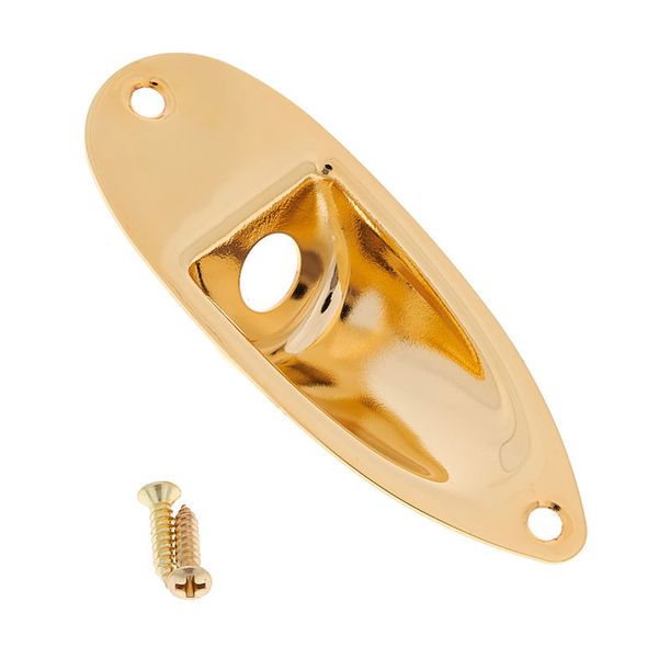 Harley Benton Parts Jack Plate Gold ST 284045 фото