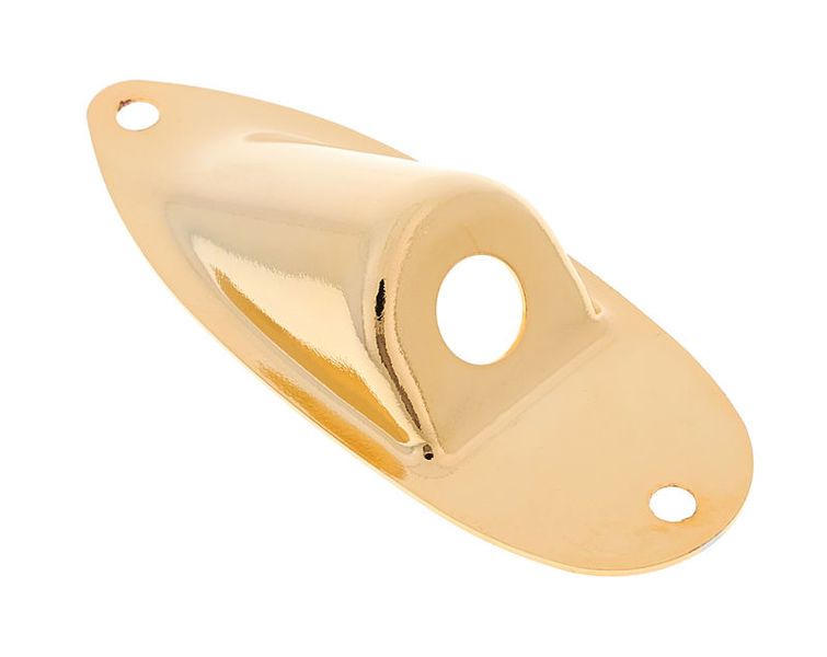 Harley Benton Parts Jack Plate Gold ST 284045 фото