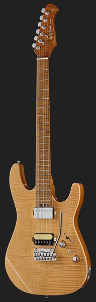 Harley Benton Fusion-IV HH MN FNT 618086 фото