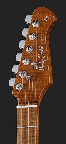 Harley Benton Fusion-IV HH MN FNT 618086 фото