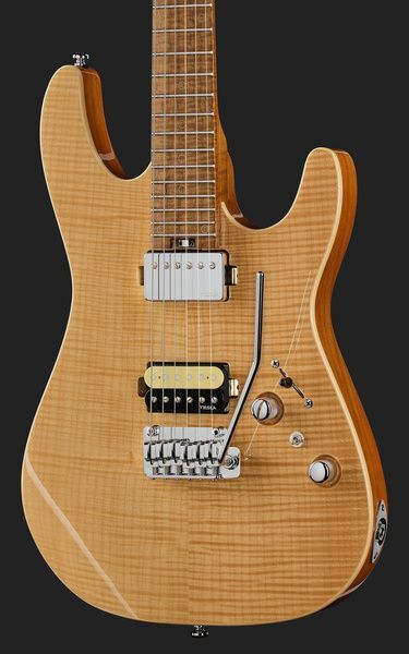 Harley Benton Fusion-IV HH MN FNT 618086 фото