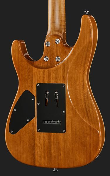 Harley Benton Fusion-IV HH MN FNT 618086 фото