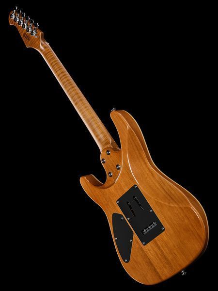 Harley Benton Fusion-IV HH MN FNT 618086 фото