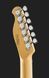 Harley Benton Fusion-T HH HT EB OCT w/Bag 542138 фото 7
