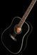 Harley Benton D-120LH BK 278076 фото 10