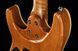 Harley Benton Fusion-IV HH MN FNT 618086 фото 12
