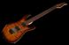 Harley Benton Fusion-III HH FR EB FBB w/Case 544750 фото 9