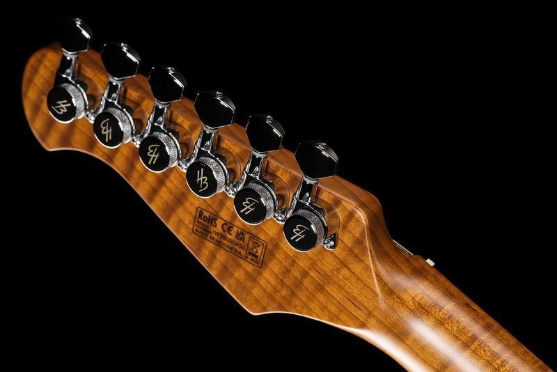 Harley Benton Fusion-IV HH MN FNT 618086 фото