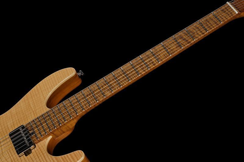 Harley Benton Fusion-IV HH MN FNT 618086 фото