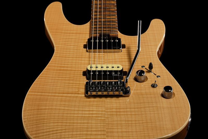 Harley Benton Fusion-IV HH MN FNT 618086 фото
