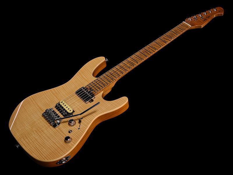 Harley Benton Fusion-IV HH MN FNT 618086 фото