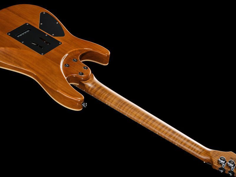 Harley Benton Fusion-IV HH MN FNT 618086 фото