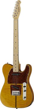 Harley Benton TE-80 NT Deluxe Series 310672 фото