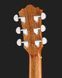 Harley Benton CLC-650SM-CE BK Solid Wood 488812 фото 7