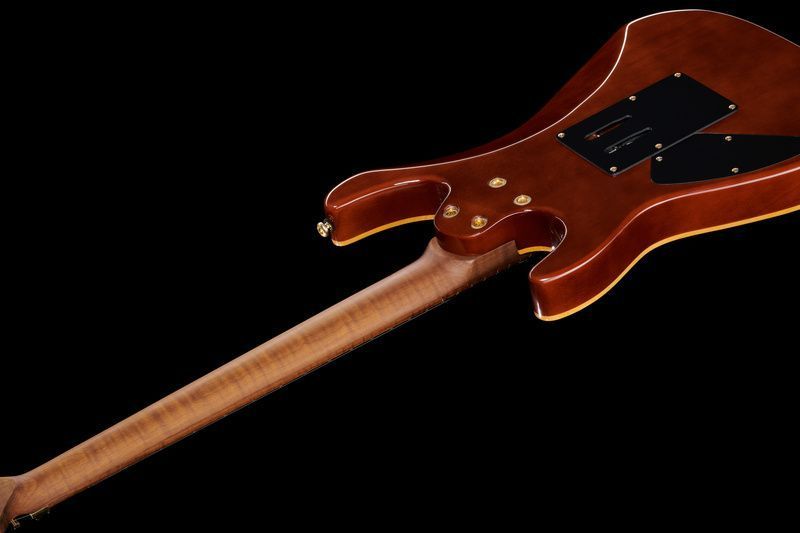 Harley Benton Guitar MAX Fusion Signature EF 536012 фото