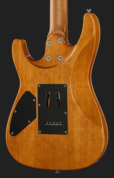 Harley Benton Fusion-IV HH MN RM 618078 фото