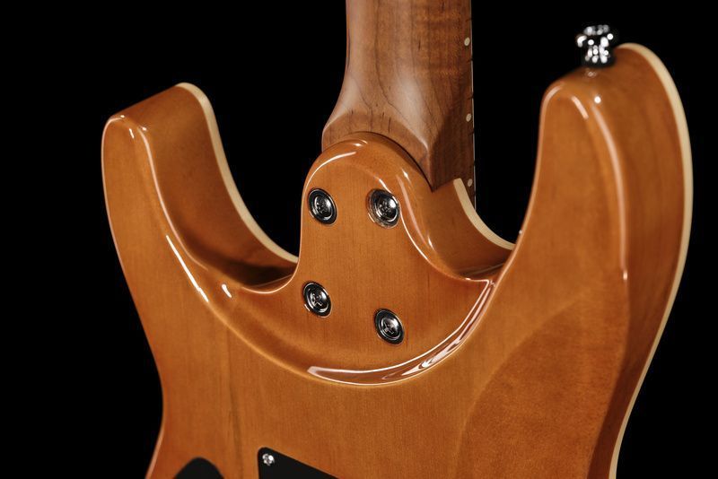 Harley Benton Fusion-IV HH MN RM 618078 фото