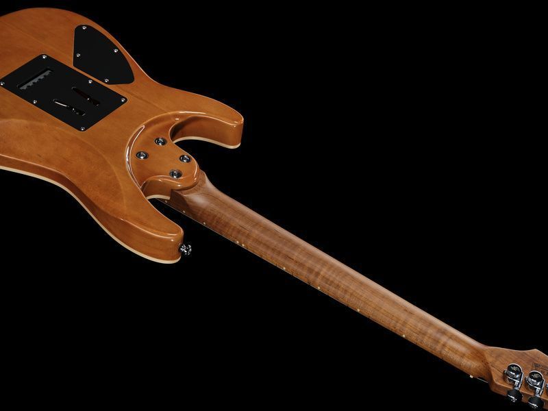 Harley Benton Fusion-IV HH MN RM 618078 фото