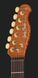 Електрогітара Harley Benton Fusion-T II HH RW HT FBB 627844 фото 6