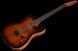 Електрогітара Harley Benton Fusion-T II HH RW HT FBB 627844 фото 8
