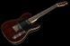 Электрогитара Harley Benton TE-70RW Deluxe Set 1 (комплект) 337648 фото 9