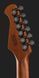Harley Benton Fusion-IV HSH RW BM 618061 фото 7