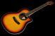 Harley Benton HBO-600SB Set 599884 фото 5