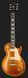 Harley Benton SC-450 P90 GT DNAFX20 AmP Set 641922 фото 2