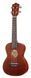 Harley Benton UK-11C Brown 402740 фото 1