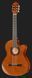 Harley Benton CG300CE NT Bundle 538223 фото 2