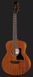 Harley Benton GS-Travel Mahogany 382553 фото 2