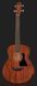 Harley Benton GS-Travel-E Bass Mahogany 568353 фото 2