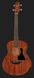 Harley Benton GS-Travel-E Bass Mahogany 568353 фото 2