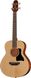 Harley Benton GS-Travel-E Bass Spruce 568361 фото 1