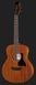 Harley Benton GS-Travel Mahogany Bundle 540882 фото 3