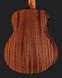 Harley Benton GS-Travel-E Bass Spruce 568361 фото 5