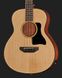 Harley Benton GS-Travel-E Bass Spruce 568361 фото 4