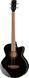 Акустична бас-гітара Harley Benton B-30BK-FL Acoustic Bass Series 476021 фото 1