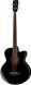 Harley Benton B-30BK-FL Acoustic Bass Series 476021 фото 1