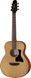 Акустична гітара Harley Benton GS-Travel Spruce 382556 фото 1