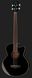 Harley Benton B-30BK-FL Acoustic Bass Series 476021 фото 2