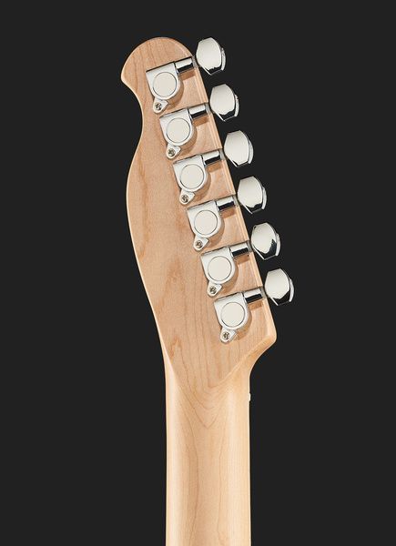 Электрогитара Harley Benton TE-20MN BM St. Series Pack (комплект) 544123 фото