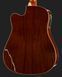 Акустична гітара Harley Benton D-120CE NT Bundle (комплект) 563293 фото 5